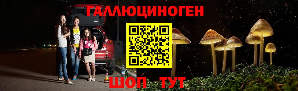 Псилоцибиновые грибы прущие грибы Ржев